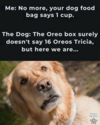 481274-917c5ad46bfd7aa4f2aa97c0d49aa0d1.jpg.png