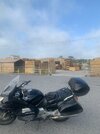 IMG_6526.jpeg
