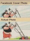 1742059652956.jpeg
