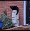 Elvis.png
