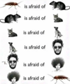 1743108504455.png