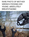 1629896598474.png