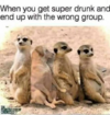 1743295480480.png