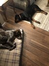 IMG_4695.jpeg
