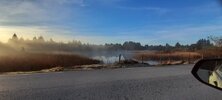 IMG_3986.jpeg