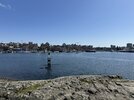 IMG_9520.jpeg