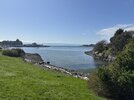 IMG_9519.jpeg