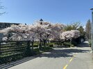 IMG_9514.jpeg