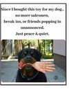 Rott.jpg