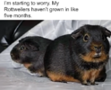 1744030329287.png