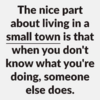 1646026831385.png