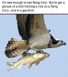 03E0E6A4-63AA-4E33-99A1-A77E7C75BA2D.jpeg