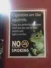 IMG_4322.jpeg