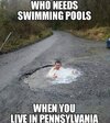 swimming.jpg