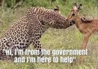 gov.jpg