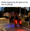 Mustang.jpg