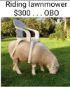 Riding lawn mower.jpg Riding lawn mower.jpg