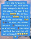birds.jpg