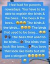 birds.jpg birds.jpg