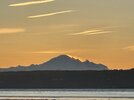 IMG_6522.jpg