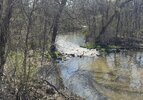 IMG_1612.jpeg