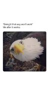1745467704305.jpeg