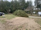 IMG_3096.jpeg