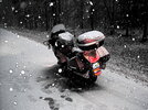Natchez Trace Dec'08, SE of Nashville.JPG