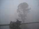 NC Blue Ridge Pkwy Fogged.JPG.JPG