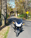 20141025_145221 resized.png