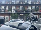 IMG_2124.jpeg
