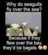 1654940677236.png