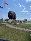IMG_4018.jpeg