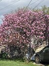 IMG_0837.jpeg