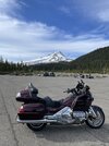 IMG_7317.jpeg