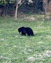 IMG_2705.jpeg