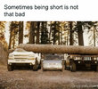 Short.jpg