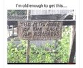 1747151215478.jpeg