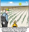 Asparagus.jpeg
