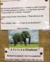1747363670258.png