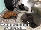 Wireless doorbells.png