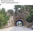 1747655193625.jpeg