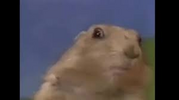 1747897863224.png 1747897863224.png