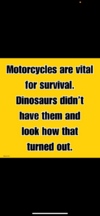 1748014773041.png
