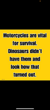 1748014773041.png