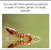 1748030242075.jpeg