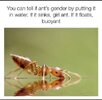 1748030242075.jpeg