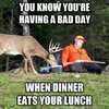 Dinner eats your lunch.jpg