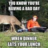 Dinner eats your lunch.jpg