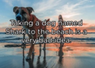 1658790438825.png